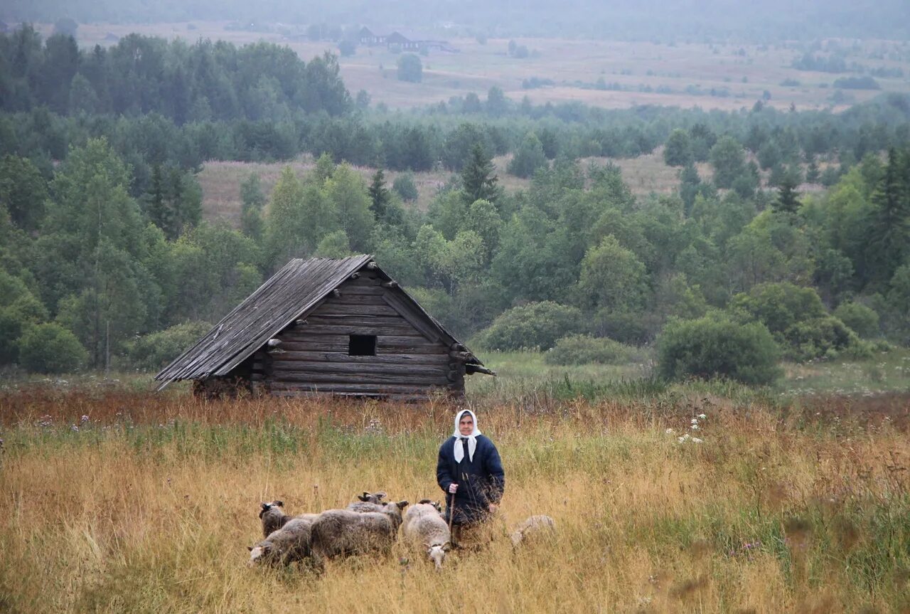 Жизнь сельской деревни. Утро в деревне. Деревня обитатели. Жители сельской местности. Деревня утром.