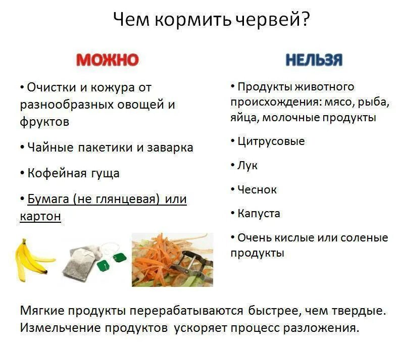 Что можно дать в качестве