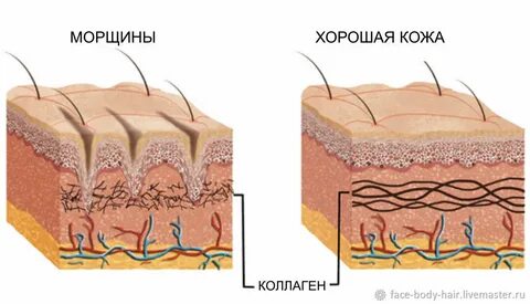 Коллаген подкожно