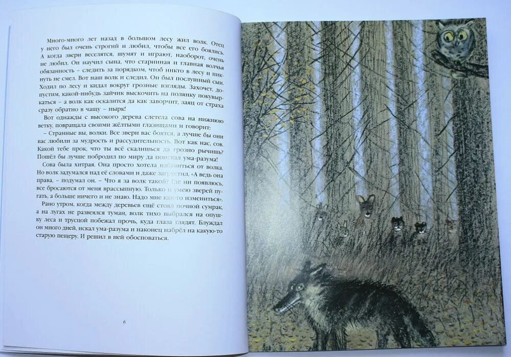 А никл вик романов книги. Сказка о добром волке. Правдивая история о добром волке. Добрый волк сказка. Книга добрый волк.