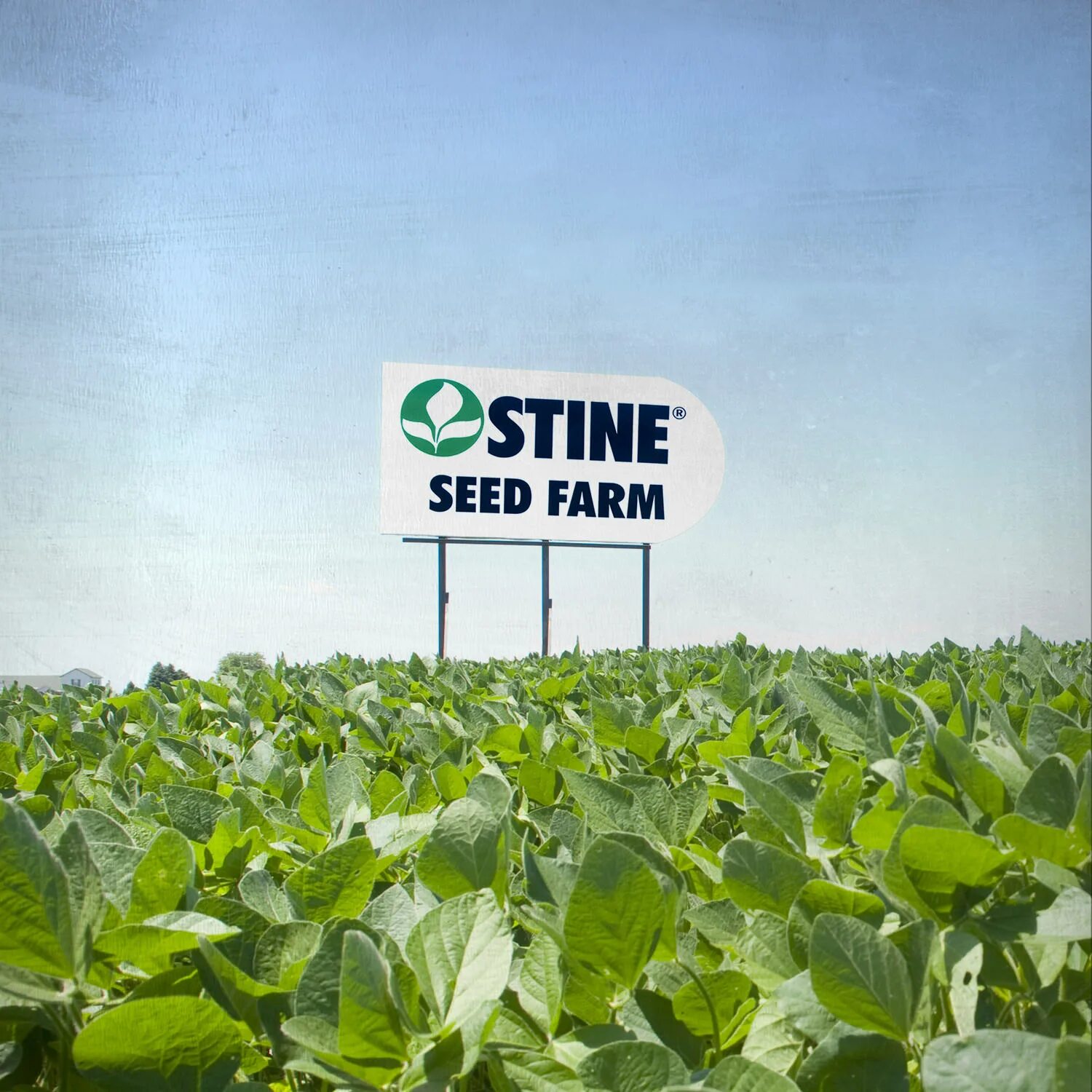 Seeding company near me. Net 4. Field experts. Lemon law case. Field experts.