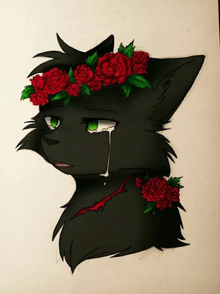 Остроличка коты воители. Остролист коты воители. Draikinator ashfur. Коты воители остролистая. Остролистая warriors cats.