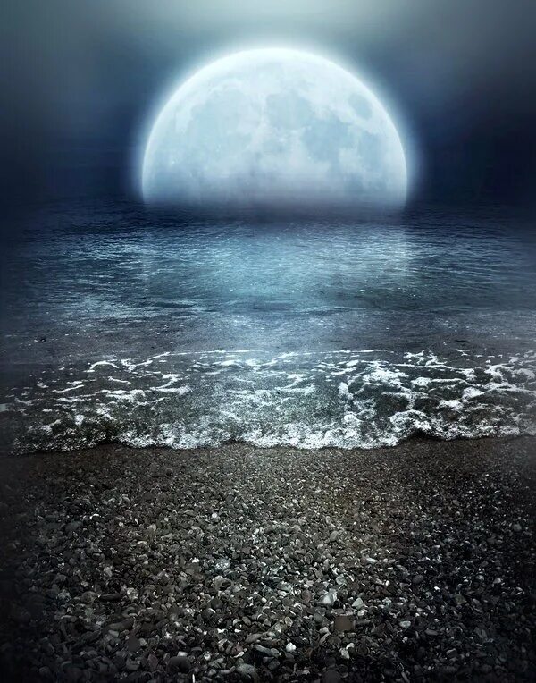 Луна и море. Ночь в море. Вода на Луне. Лунная ночь. Лунная вода на луне