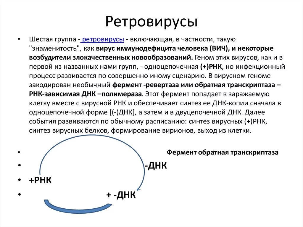 Ретровирусы Синтез белка. РНК вирусы ретровирусы. Ретровирусы строение генома. Ретровирусы классификация.