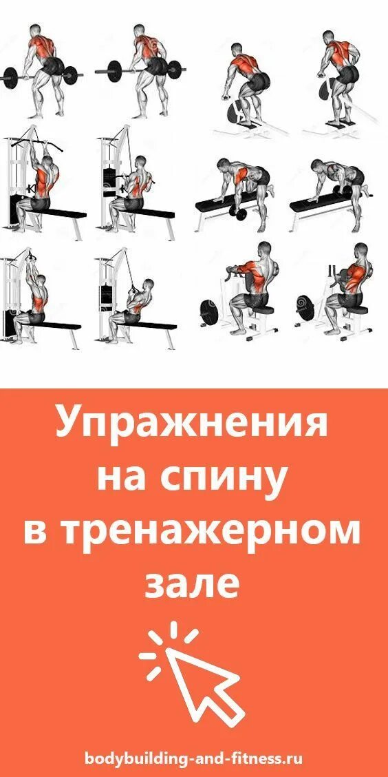 Тренировка на спину в тренажерном