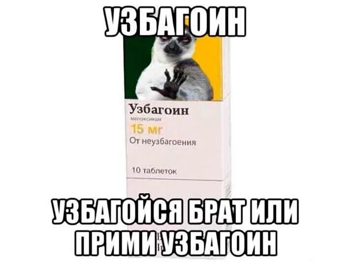 Выпей узбагоительное и узбагойся. Мемы про чаепитие. Шутки про мяту. Пью чай мем. Кот с бокалом вина.