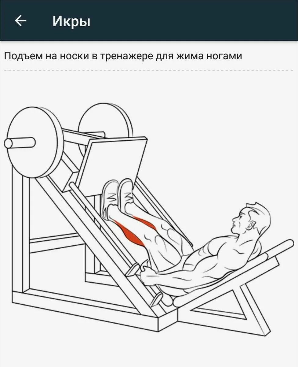 Постановка ног при жиме ногами в тренажере. Тренажер жим ногами под углом 45 градусов. тренажер для жима ногами своими руками чертежи с размерами. жим ногами лежа на тренажере постановка ног. жим платформы ногами техника.