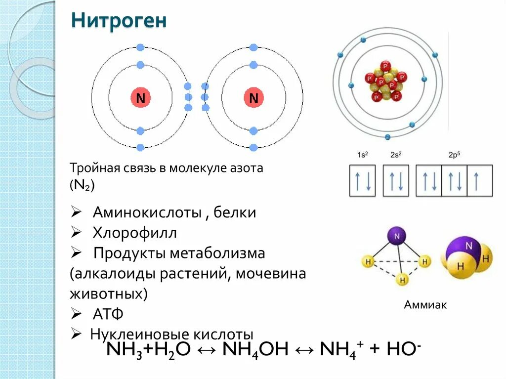 Азот какая связь. Строение атома орбитали. Акрилонитрил атомные орбитали. Схема строения атома. Тройная связь в молекуле азота.