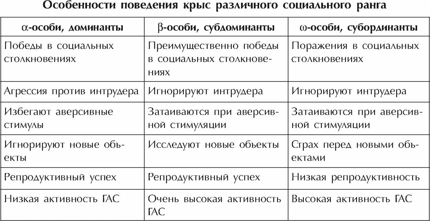 Социальное мышление крыс. Особенности поведения крыс. Социальное поведение крыс. Таблица для крыс. Этологическое поведение крыс таблица.