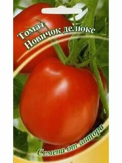 Семена помидор новичок