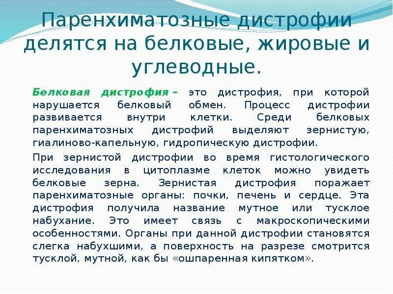 Паренхиматозные углеводные. Паренхиматозные углеводные