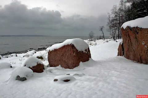 Приморск зимой