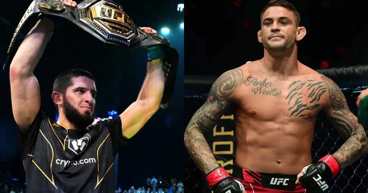 Махачев порье обзор. Ufc махачев порье. юфс 301.