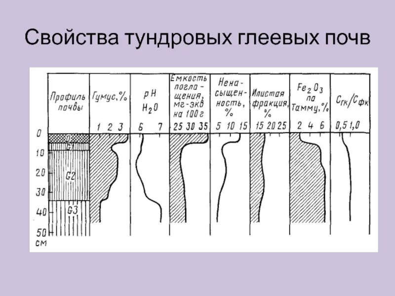 Содержание гумуса в тундровой глеевой почве. Характеристика тундровой глеевой почвы. Качество почвы тундрово-глеевых. Свойство почвы в тундрово-глеевых почвах. Свойства тундрово глеевых почв таблица.