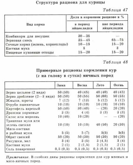 Сколько соли нужно курицам. Таблица рациона кормления кур несушек. Таблица кормления курей несушек. Таблица корма для кур несушек. Примерный рацион для кур-несушек.