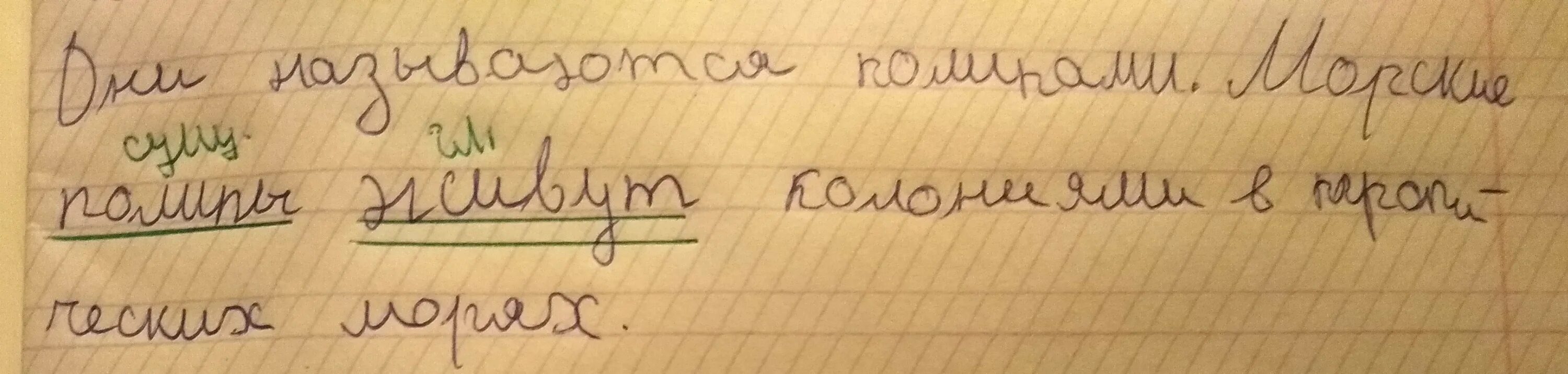 Разбор словочитания свежее сено словочитанием. Как делать словочитание фото когото тетрадь. 12 любых слов