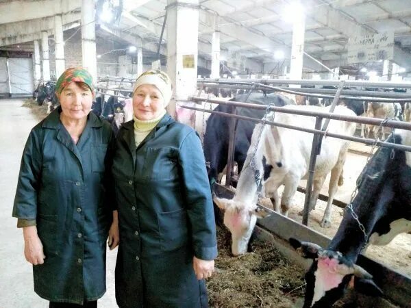 Совхоз 1 мая. Колхоз первое мая новоторъяльский. схпк-сха (колхоз) &quot;первое мая&quot;. новиков аркадий арсентьевич колхоз 1 мая республики марий эл. схпк-сха колхоз первое мая марий эл.
