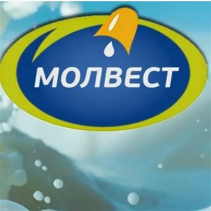 Молвест тендеры. Ао молвест. молвест лого. компания молвест воронеж. газель молвест.