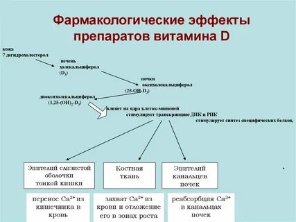 Эффекты витамина д