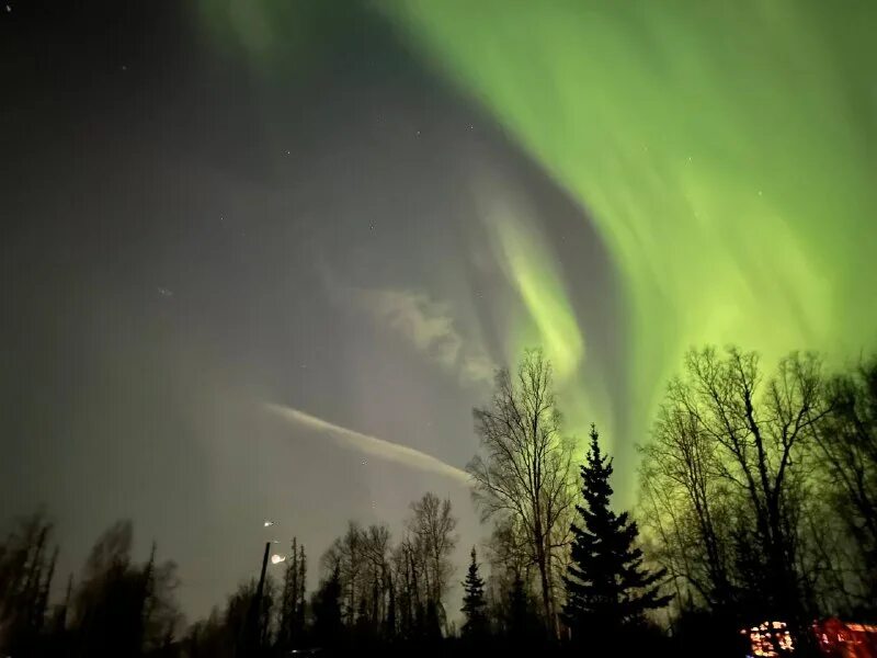 люди с флагом сша. человек америка. северная каролина маленькие города. жизнь петровича в сша. жизнь петровича в сша.