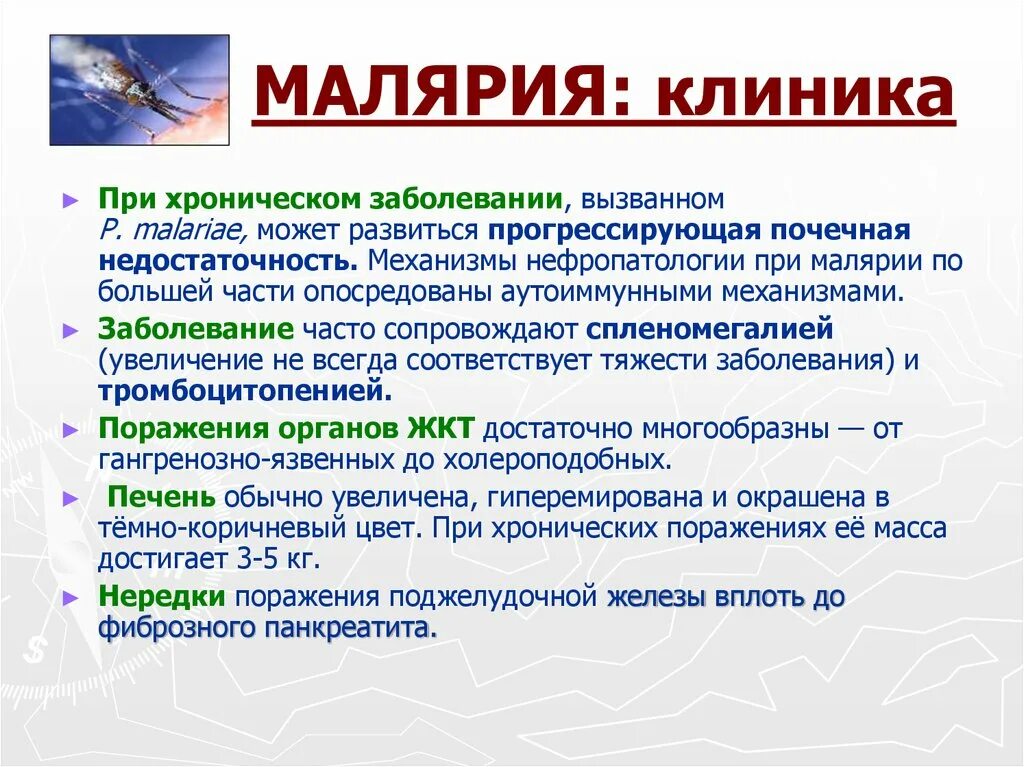 Как выглядит малярия на лице Описание малярии
