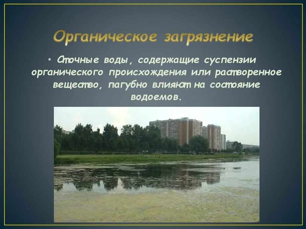 Загрязнения органическими веществами. Неорганические загрязнения. Органическое загрязнение вод. Загрязнения органического происхождения. Загрязненные водоемы.