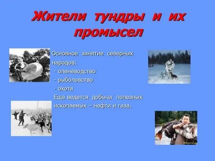 Какое основное занятие коренного населения тундры