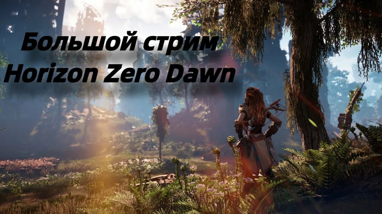 Элой horizon zero dawn 1. Картинки хорайзен. Horizon zero dawn игра. Элой horizon zero dawn. Хоризон 2.