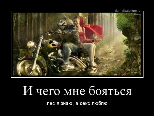 Красная Шапочка Дорогу Знаю Секс Люблю