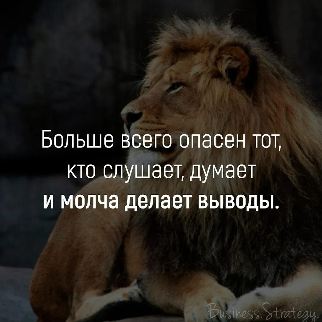 Мысли Лев. Обиженный Лев. Афоризмы про Львов. Статусы про Льва. Давай ты будешь любой