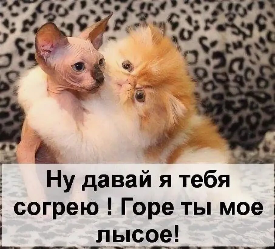 Ты любишь ты греешь