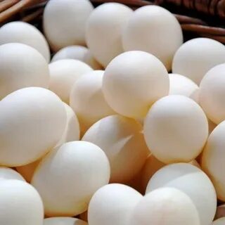 Egg farm