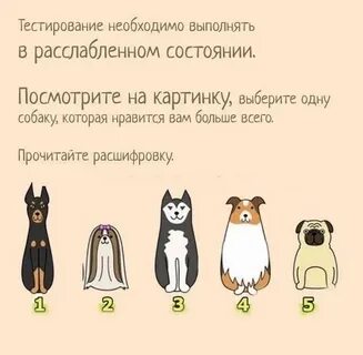 Тест про собак
