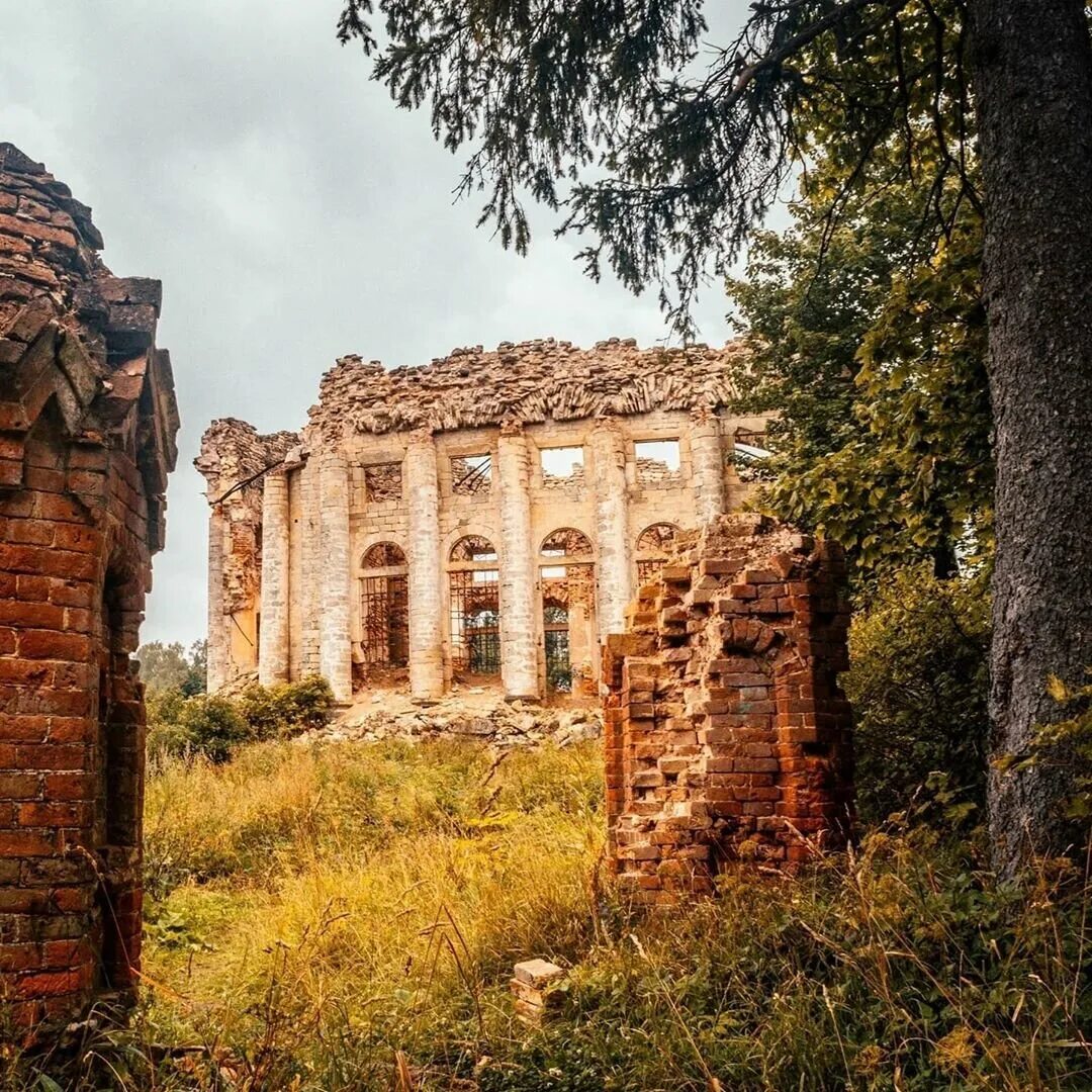 Гисметео ленинградская область волосовский район. Храм в деревне пятая гора Волосовского района. Руины Троицкой церкви в Ленинградской области. Церковь Святой Троицы Волосовский район. Усадьба пятая гора в Волосовском районе.