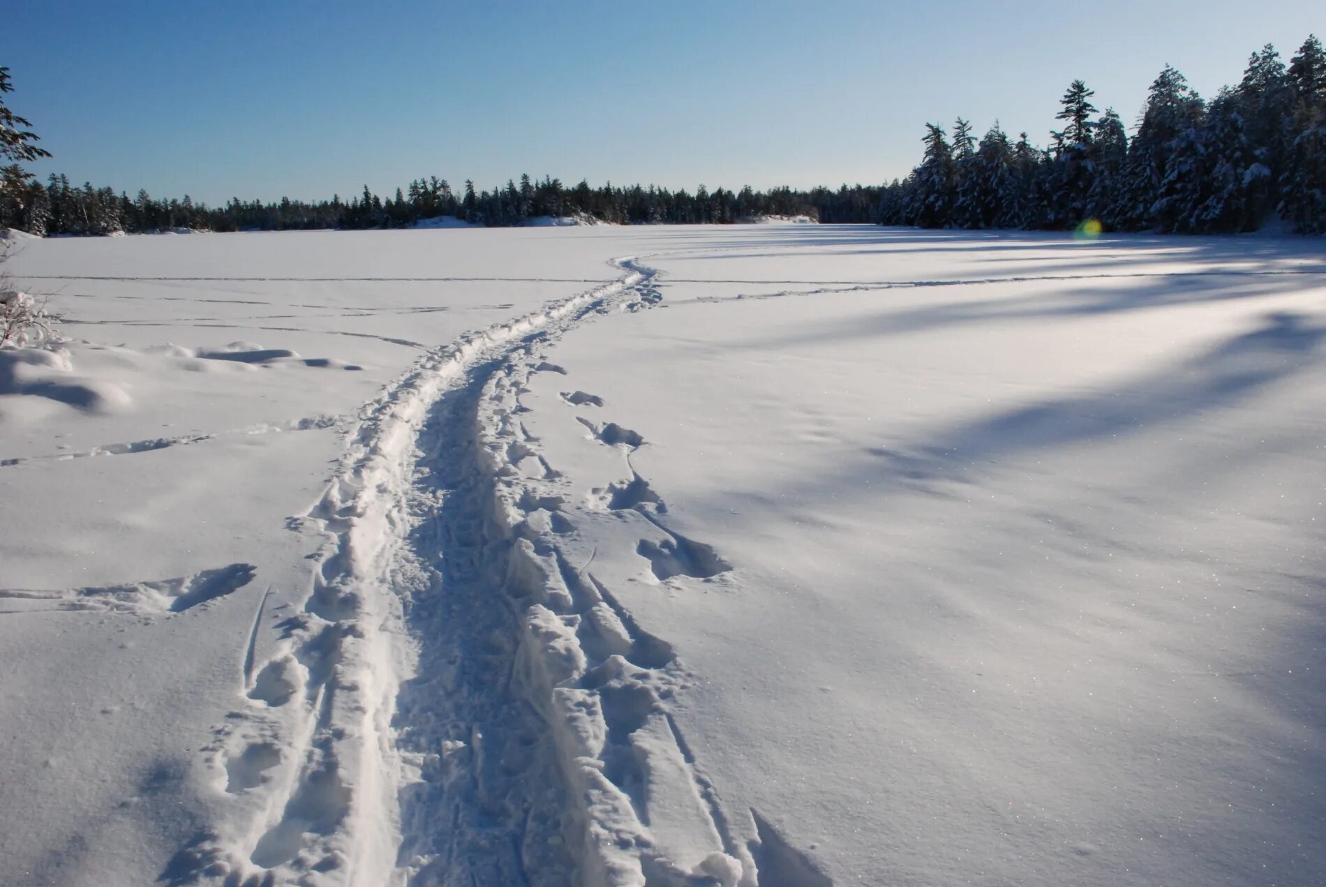 Walking snow rum перевод. Snow Path. Snow track. Traming Snow. Winter snowy Land.