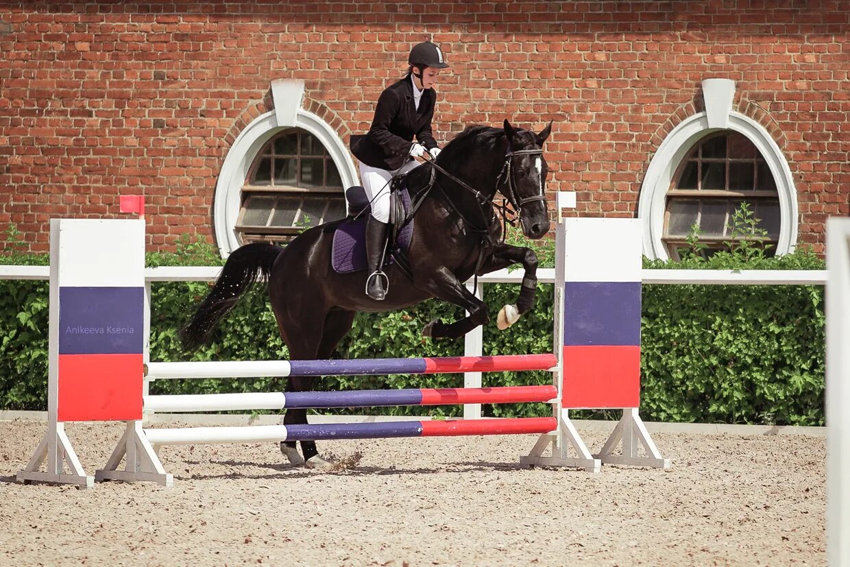 конный спорт конкур барьер. барьер кавалетти. оксер барьер конный спорт. препятствия для конкура. препятствия для конкура.