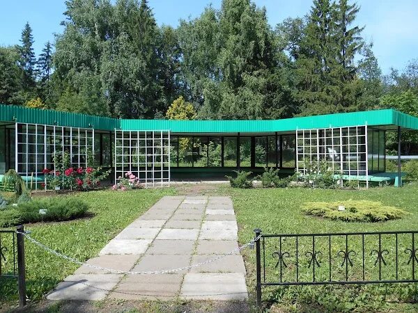 File:Вечнозелёные растения.jpg - Wikimedia Commons