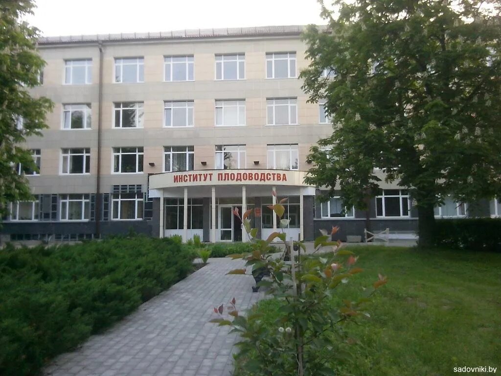 Институт садоводства измайлово. Институт плодоводства беларусь. Институт овощеводства самохваловичи. Казань институт плодоводства. Институт садоводства измайлово.