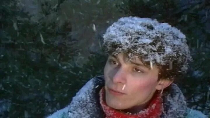 Шатунов старый лес. Ласковый май - 3-й альбом (старый лес) (1988). Старый лес ласковый. Старый лес ласковый. Старая книга в лесу.