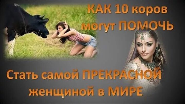 Притча о женщине видео. Притча 10 коров. Притча про 10 коров и девушку. Притча о десяти коровах. Притча о 10 коровах за невесту.