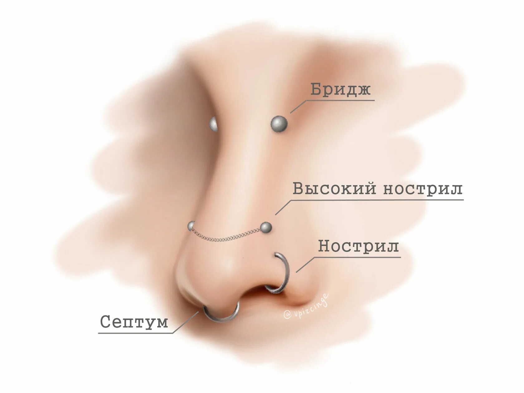 Как называется пирсинг в носу. Пирсинг носа виды и названия.