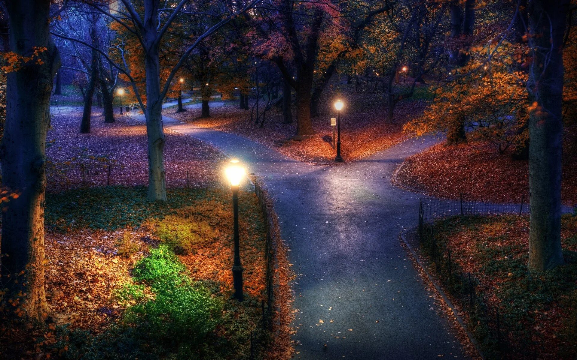 Красивая ноябрьская ночь. Осенняя ночь. Ночной парк. Осень ночь. Вечерний осенний парк.