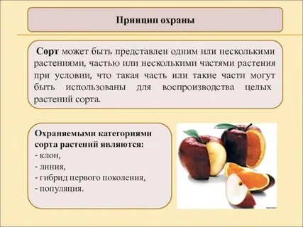 Сорта можно есть
