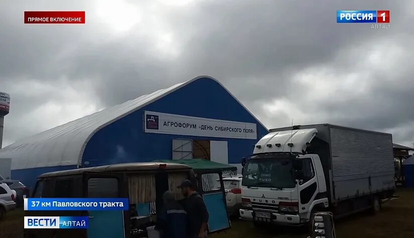 Программа сибирское поле 2025