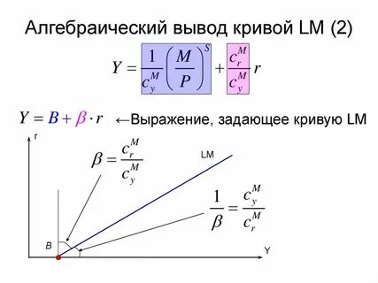 Алгебраическая кривая