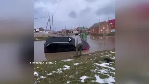 Погода черников краснодар