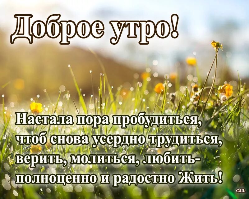 Доброе утро с пожеланиями здоровья. Пожелания доброго утра и благословенного дня. Проснулись доброе утро. Поздравления с новым днем утром. С новым днем со смыслом утром