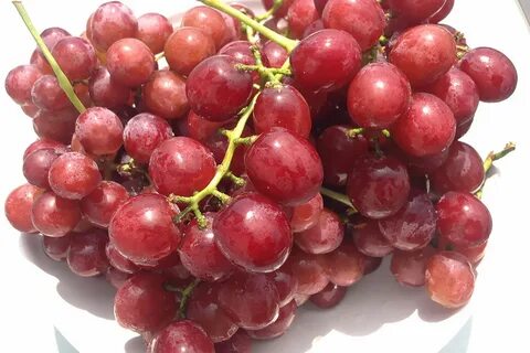 Кишмиш красный отзывы