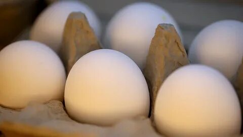 Long egg