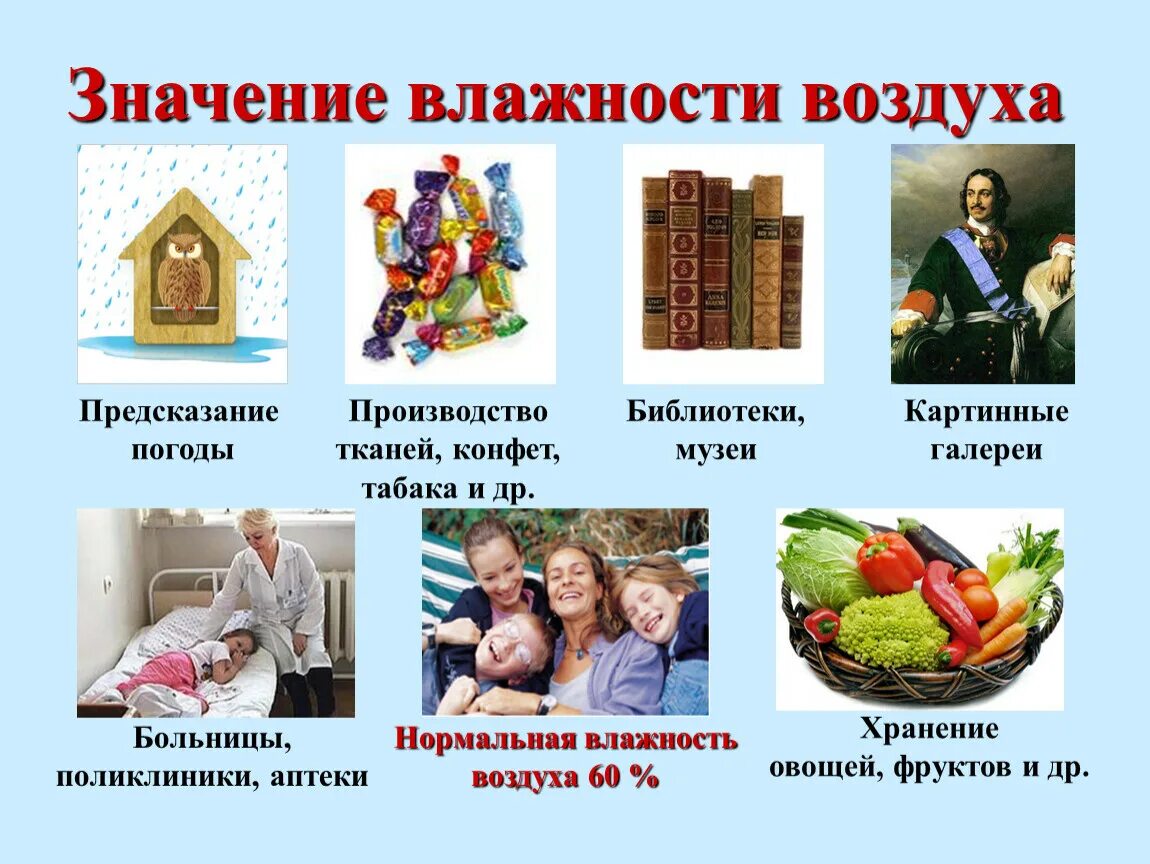 Значение влажности в жизни человека проект Презентация: "Влажность воздуха"